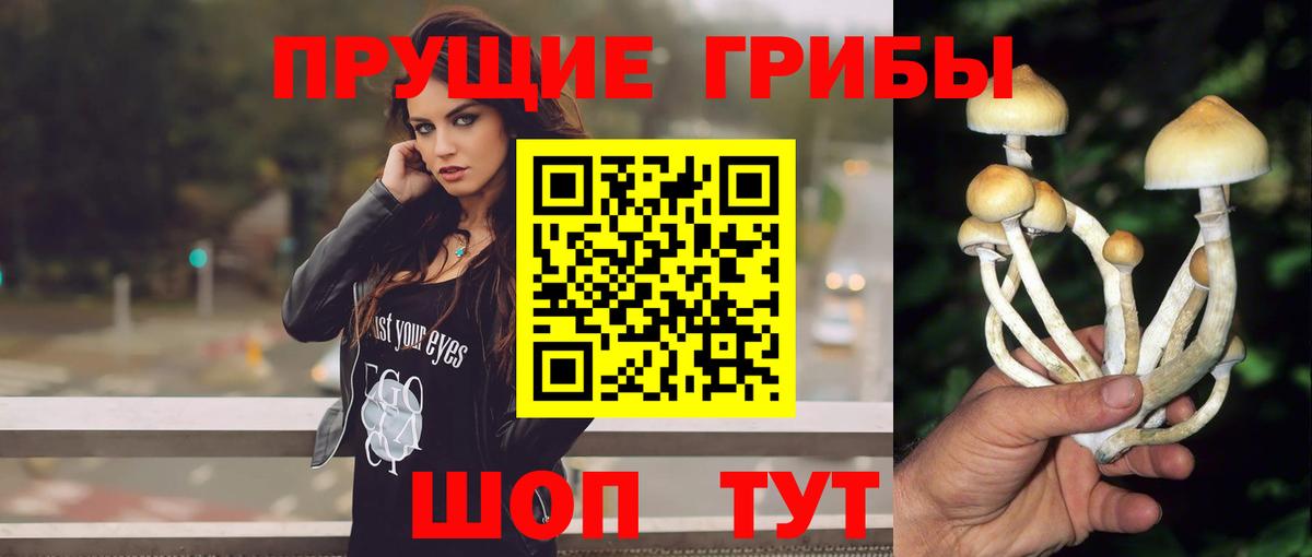 Галлюциногенные грибы мицелий  Вход с VPN  Удомля 